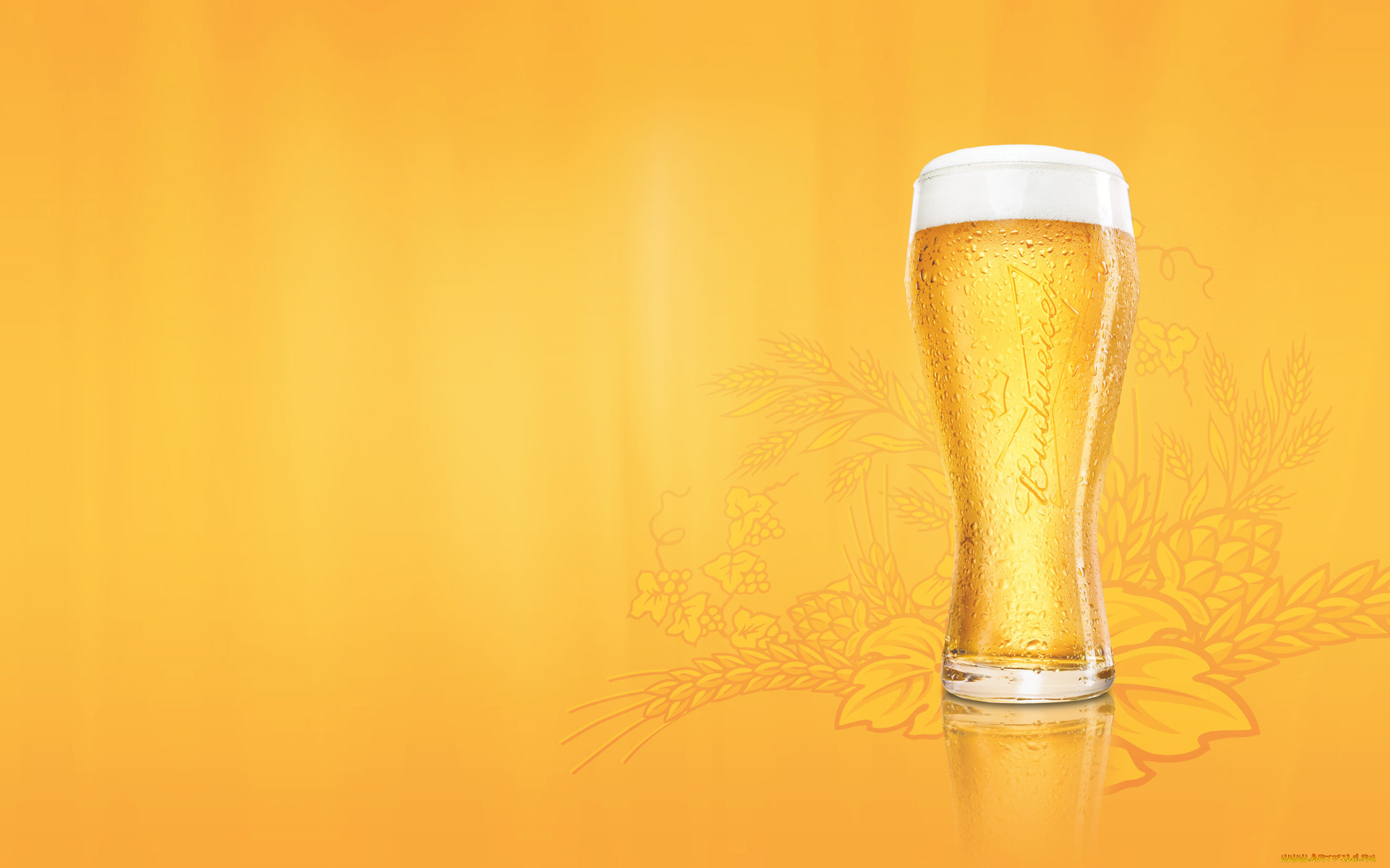 , budweiser, , , 